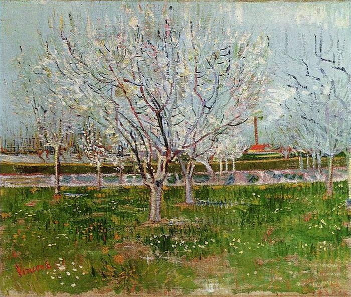 Vincent Van Gogh Bluhender Obstgarten Sweden oil painting art